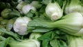 Bok Choy, Pakchoi