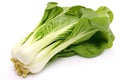 Bok choy photo realistic illustration - Generative AI.