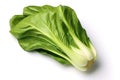 Bok choy photo realistic illustration - Generative AI.