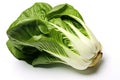 Bok choy photo realistic illustration - Generative AI.