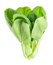 Bok choy pok choi, pak choi Chinese leaf cabbage Royalty Free Stock Photo