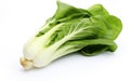 Bok Choy in Seclusion on White Background