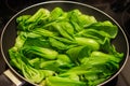 Bok choy stir fry on pan. Stir fried vegetables in a chinese wok. Stalks of baby bok choy cooking on the pan Royalty Free Stock Photo