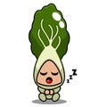 Bok choy vegetable mascot costume sitting and sleeping