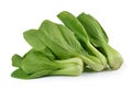 Bok choy vegetable on white background Royalty Free Stock Photo