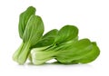 Bok choy vegetable on white background