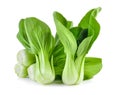 Bok choy vegetable on white background Royalty Free Stock Photo