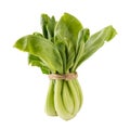 Bok choy vegetable on the white background. Royalty Free Stock Photo