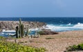 Boka Ascension cacti and coastline Royalty Free Stock Photo