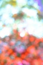 bokeh background of Christmaslight