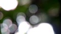 Bokeh background.green bokeh
