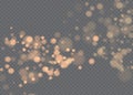 Bokeh background. Snowflakes isolated. Vector illustration.Realistic falling snowflakes Royalty Free Stock Photo