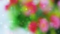 Bokeh backgrounds are bursting with color.