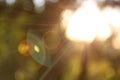 bokeh blurred sunlight