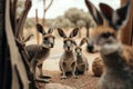 Bokeh captures zoo\'s hyper-detailed marsupials in Unreal Engine 5