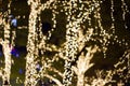 Bokeh - Decorative outdoor string lights hanging on tree in the garden Royalty Free Stock Photo