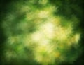 Bokeh filter effect abstract backbround Royalty Free Stock Photo
