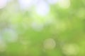 Bokeh green nature, Subtle background in abstract style for graphic design