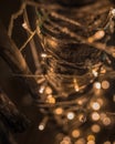 Bokeh LED Light on the Tree In the Chrismast Day In Lampang Thai Royalty Free Stock Photo