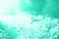 Bokeh light from sun through leaves in forest. Blur mint abstract background in trendy color. Banner. Wild nature. Trendy green