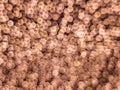 Bokeh lights pattern texture background Royalty Free Stock Photo