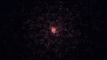 Bokeh patten, red small sparkles floating on black background. Animation. Abstract particles, small dots forming a ring