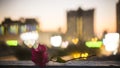 Bokeh photo of a red Paper flower on old wall, blurred red, yellow, blue and white hearts light, shape of shiny lights from the Royalty Free Stock Photo