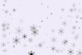 Bokeh snow flakes and white background