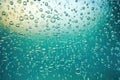 bokeh texture of bubbles in clear water Royalty Free Stock Photo