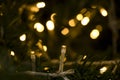 Bokeh time light. Good time.