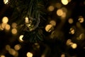 Bokeh time light. Good time.