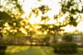 Bokeh from tree in the garden with sun rays at sunset,blurred background Royalty Free Stock Photo