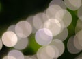 Bokeh white and green background.