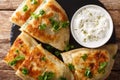 Bolani is a traditional Afghani flatbread stuffed and baked with either potato, onion, cilantro filling closeup. horizontal top Royalty Free Stock Photo