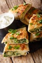 Bolani is a traditional Afghani flatbread stuffed and baked with either potato, onion, cilantro filling closeup. vertical Royalty Free Stock Photo