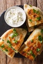 Bolani is a traditional Afghani flatbread stuffed and baked with either potato, onion, cilantro filling closeup. Vertical top view Royalty Free Stock Photo