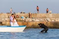 Photographer knee-deep in the water shoots a couple of affectionate newlyweds in a boat in the Black Sea bay, boy is gazing Royalty Free Stock Photo