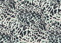 Bold abstracted leopard skin seamless pattern design. Jaguar, leopard, cheetah, panther animal print. Seamless camouflage Royalty Free Stock Photo