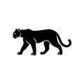A bold black vector silhouette of a prowling or walking black panther cougar or mountain lion. Royalty Free Stock Photo