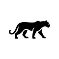A bold black vector silhouette of a prowling or walking black panther cougar or mountain lion. Royalty Free Stock Photo