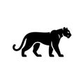 A bold black vector silhouette of a prowling or walking black panther cougar or mountain lion. Royalty Free Stock Photo