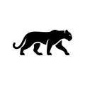 A bold black vector silhouette of a prowling or walking black panther cougar or mountain lion. Royalty Free Stock Photo