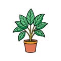 Bold Corchorus Olitorius Houseplant Illustration Royalty Free Stock Photo