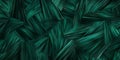 A bold dark green background with contrasting, sharp, angular lines creating an abstract geometric Royalty Free Stock Photo