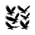 Flying Eagle Silhouette Set â Predatory Bird Vector Collection in Various Poses Royalty Free Stock Photo