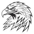 Stylized Eagle Head Emblem Royalty Free Stock Photo