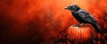 Bold Halloween Banner with Detailed Raven on Pumpkin and Gradient Orange to Black Background