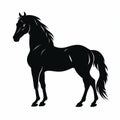 Bold Horse Silhouette On White Background Royalty Free Stock Photo