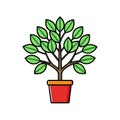 Bold Outline Cuka Tree Houseplant Royalty Free Stock Photo