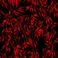 Bold and red oriental botanical pattern on black background for textile and wallpaper designs